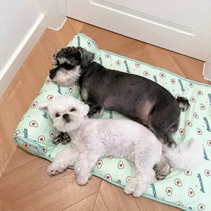 Pet Mat™ - Der ultimative Komfort für deinen pelzigen Freund!